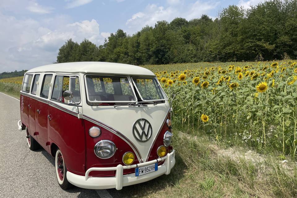 VW T1 bus