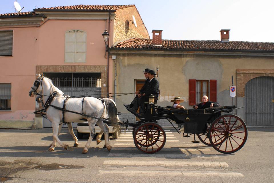 Volpedo, carrozza, cavalli