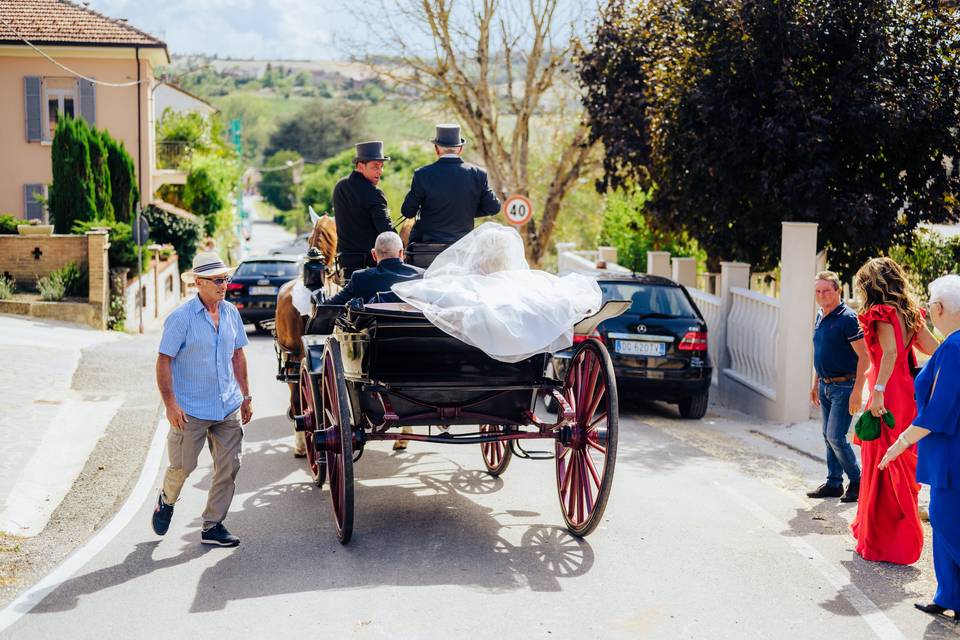 Cavalli, sposa, papà