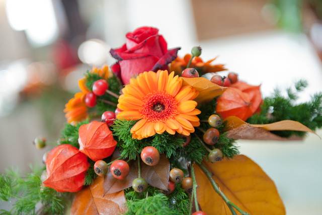 Dettaglio autunno