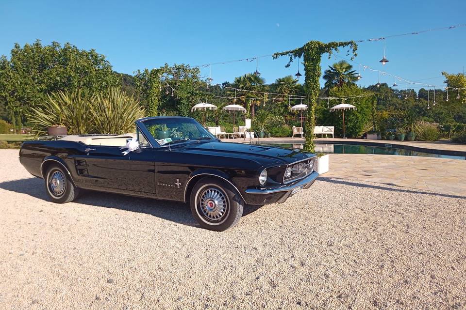 Noleggio Ford Mustang Cabrio - Tenuta Serradesca