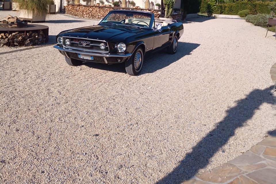 Noleggio Ford Mustang Cabriolet - Tenuta Serradesca