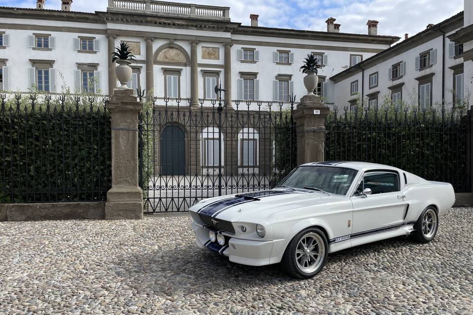 Noleggio Shelby GT500 Eleanor