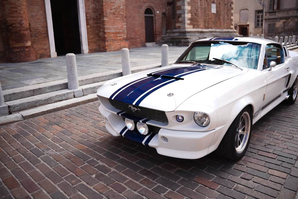 Noleggio Shelby GT500 Eleanor