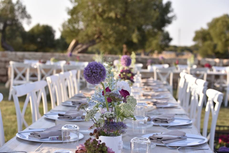 Allestimento cena nel prato