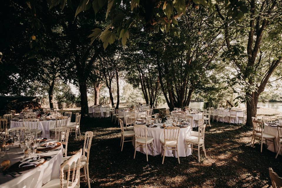 Cena nel bosco