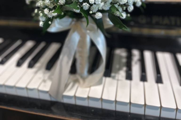 Bouquet Gypsophila