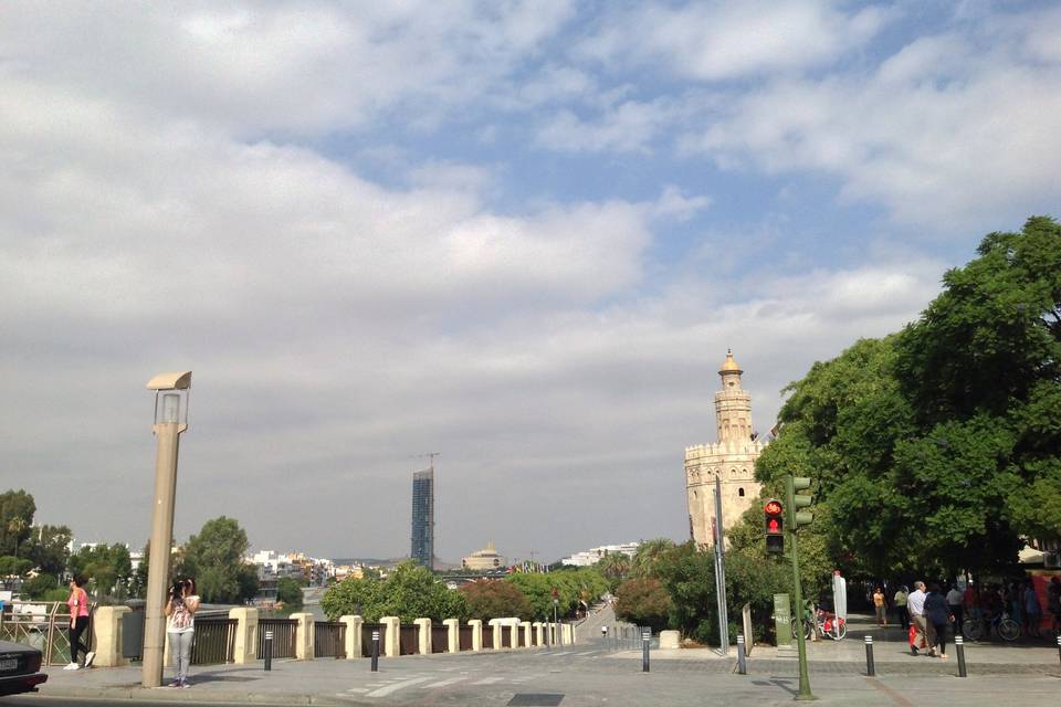 Torre de oro (sevilla )