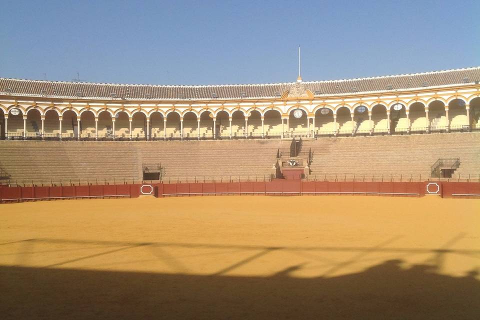 Arena de toros