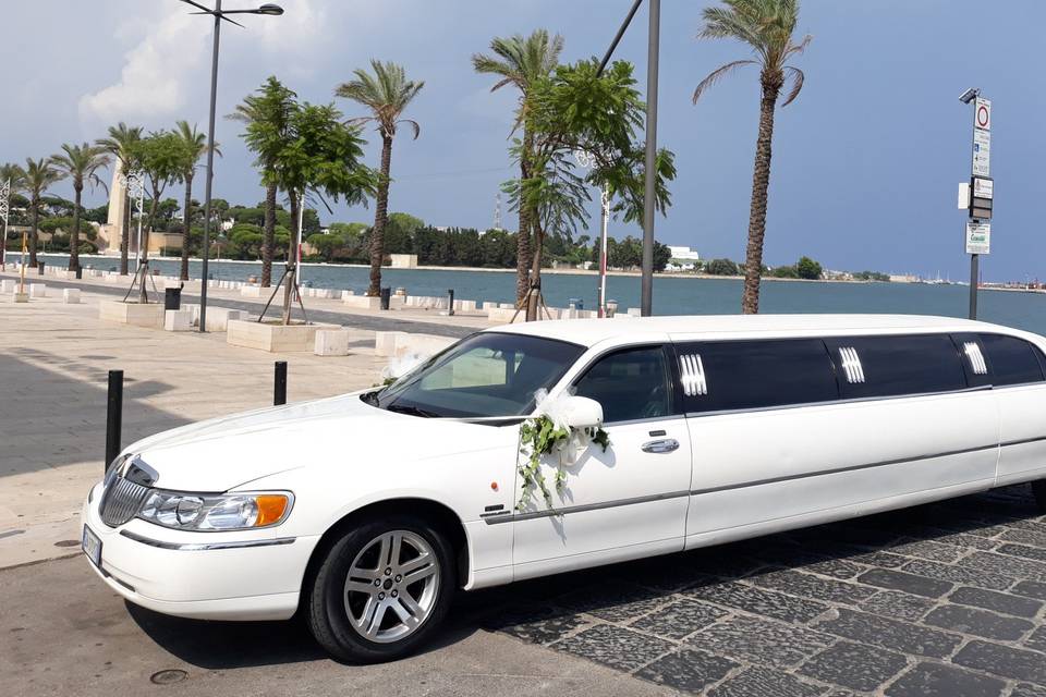 Limousine