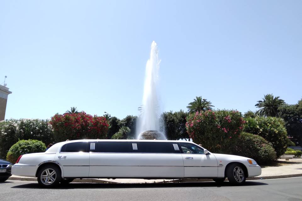 Limousine