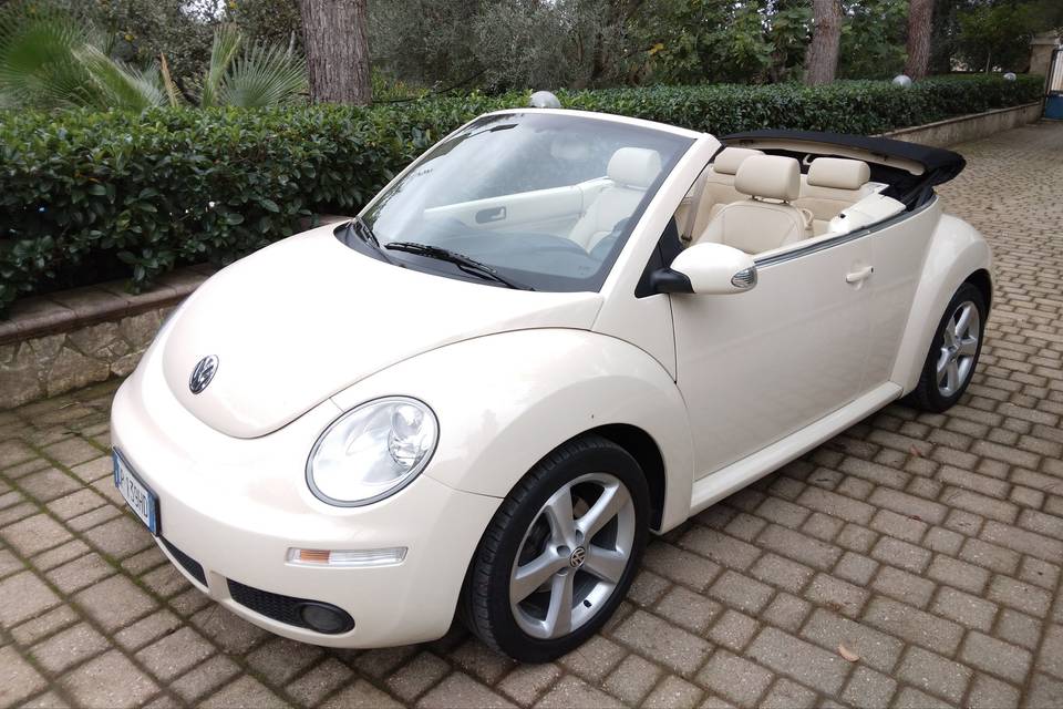 New Beetle (Maggiolino)