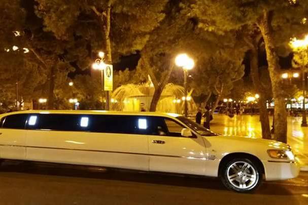 Limousine