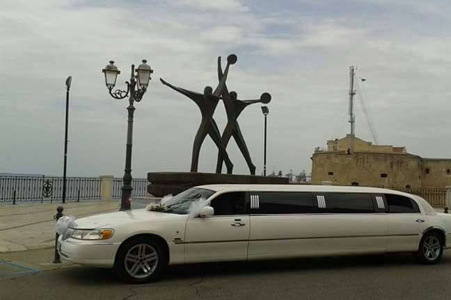 Limousine