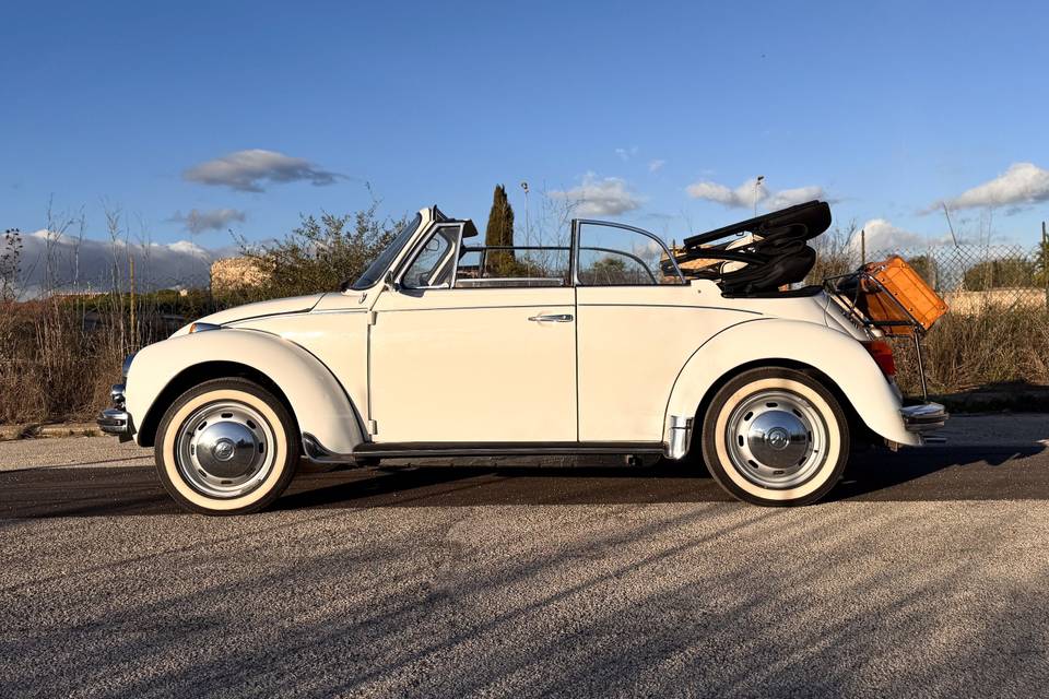 VW Maggiolone Cabrio
