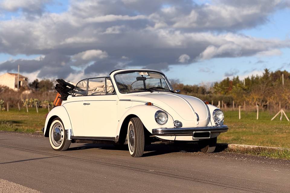VW Maggiolone Cabrio