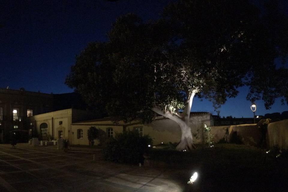 Matrimonio