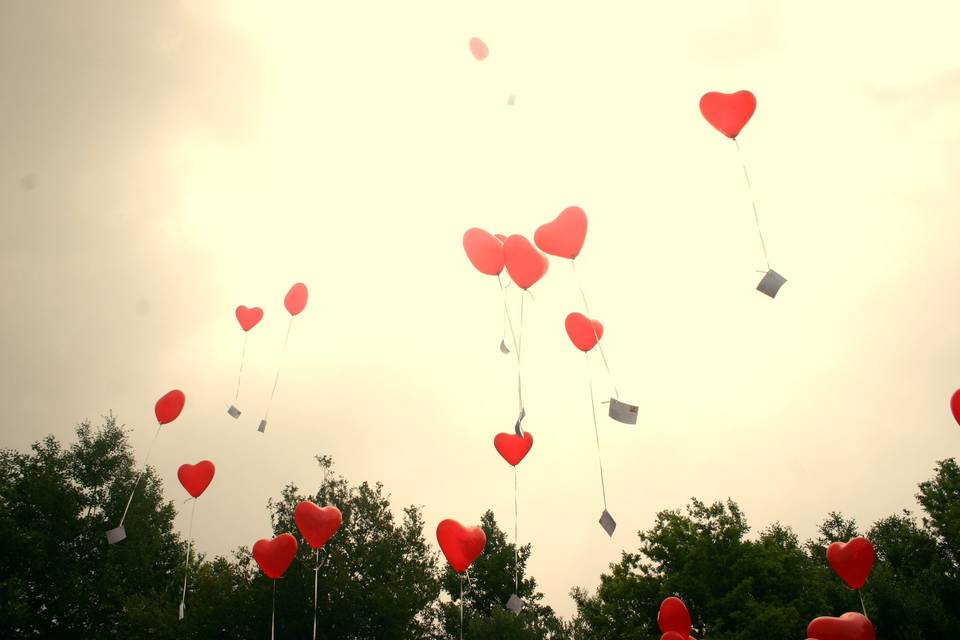 Volo palloncini