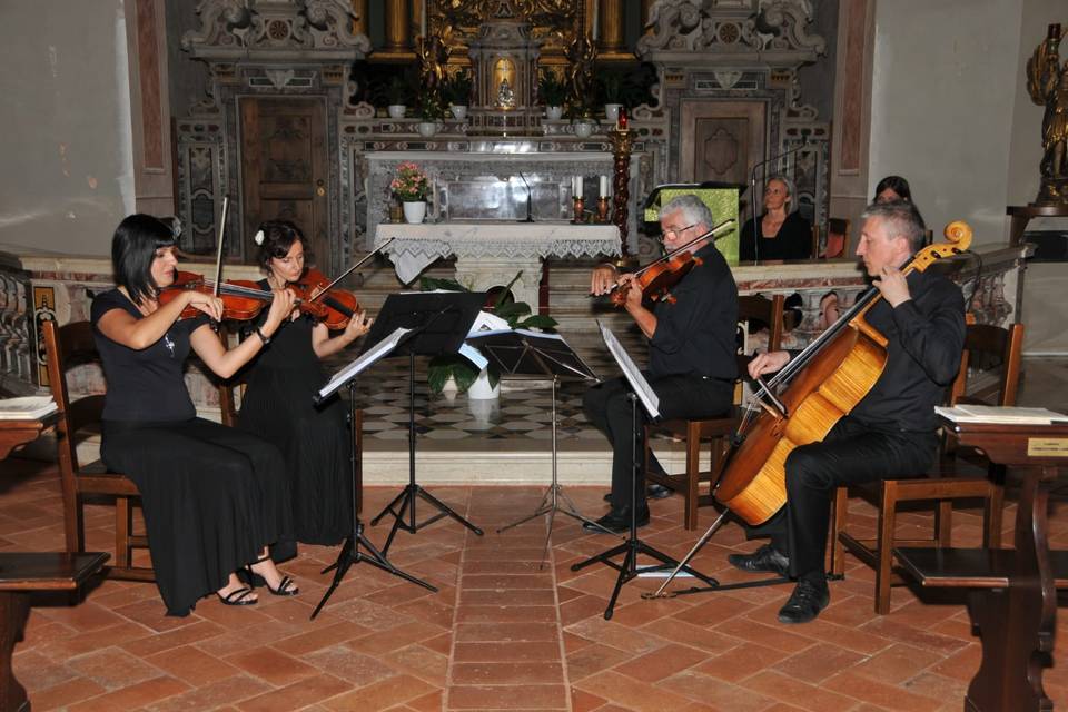 Quartetto Archi Femminile