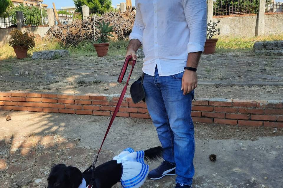 Davide - Wedding Dog Sitter