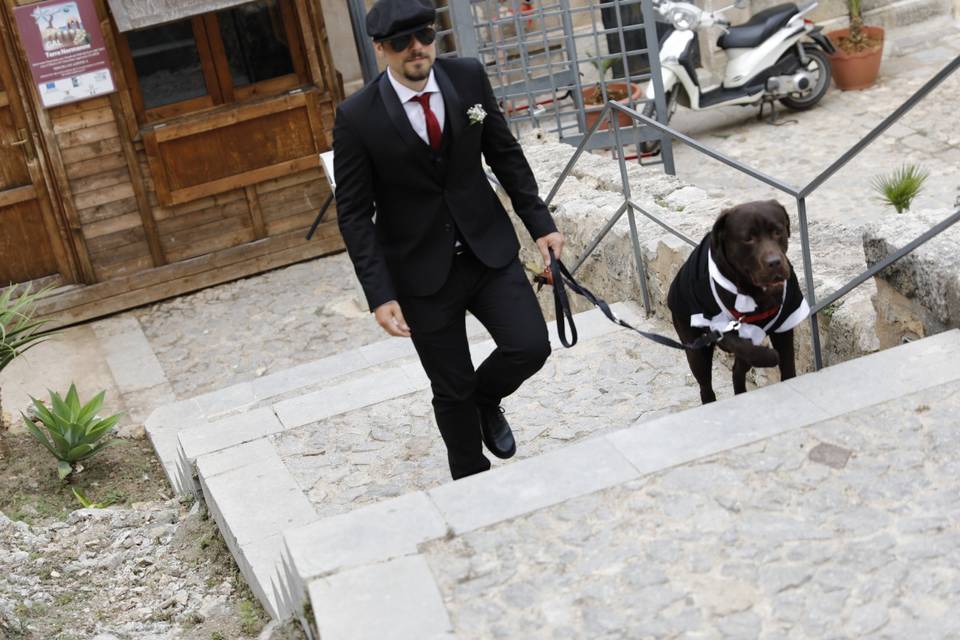 Davide - Wedding Dog Sitter