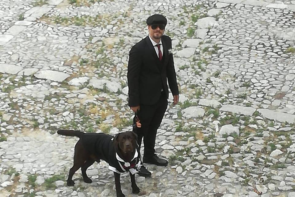 Davide - Wedding Dog Sitter