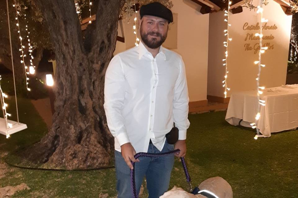 Davide - Wedding Dog Sitter