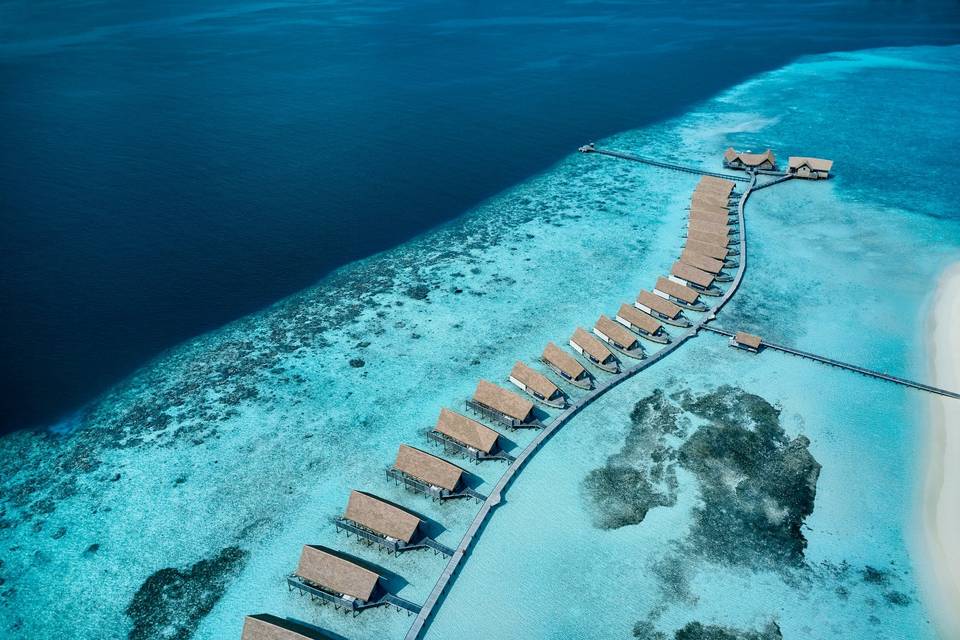 Maldive