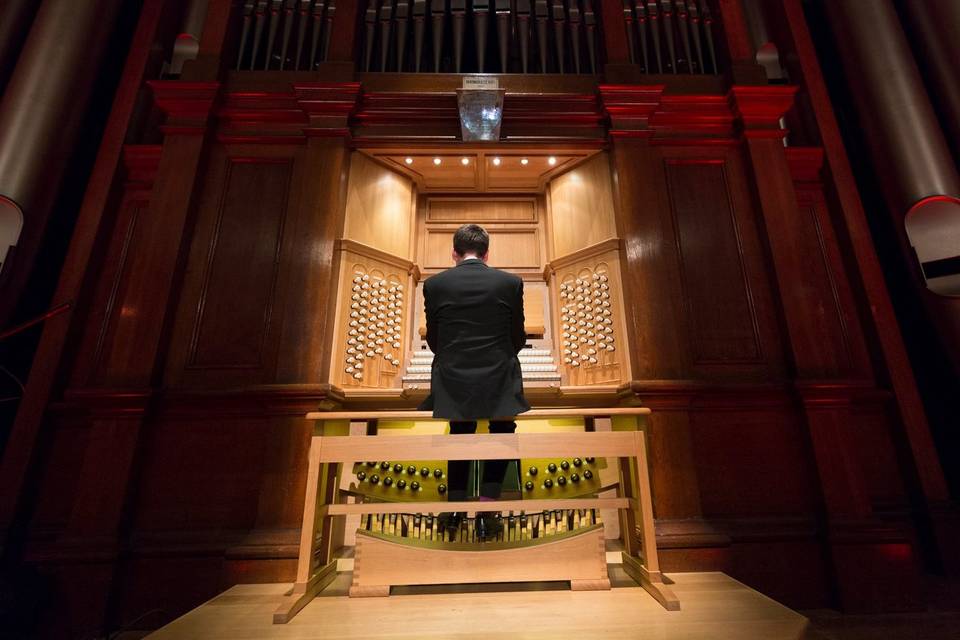 Ottavio Rinaldi Organista