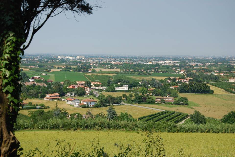 Panorama sulle colline di Cese