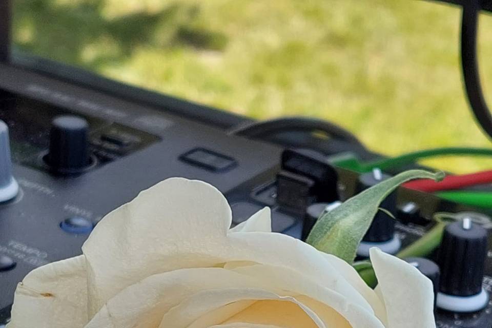 Fiori