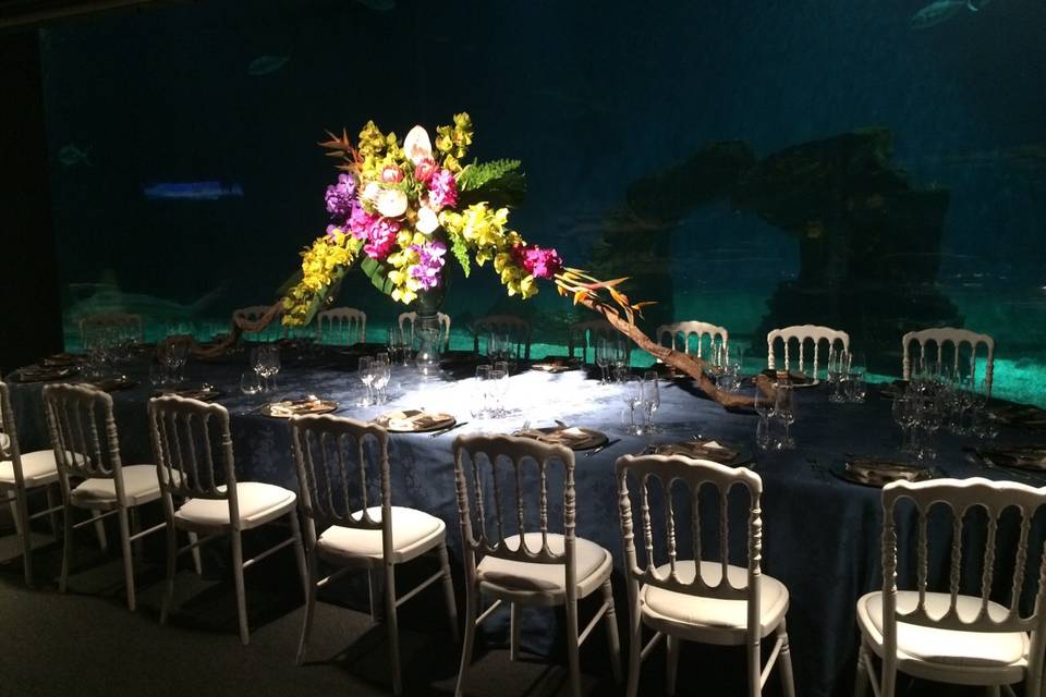 Wedding night Acquario Genova