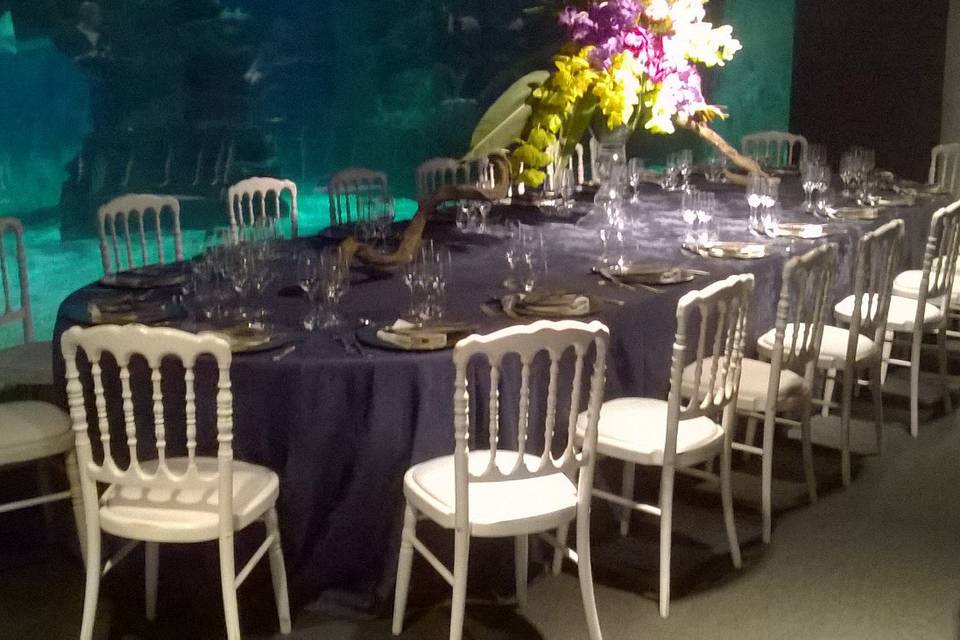 Wedding night Acquario Genova