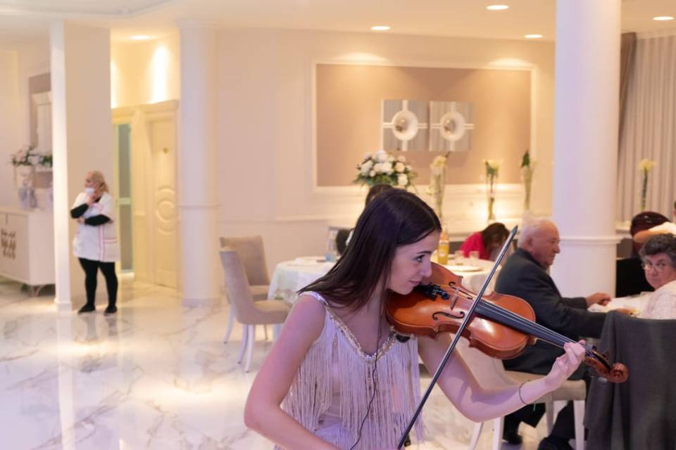 Violin Music Live