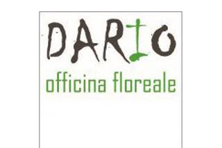 Dario Officina Floreale