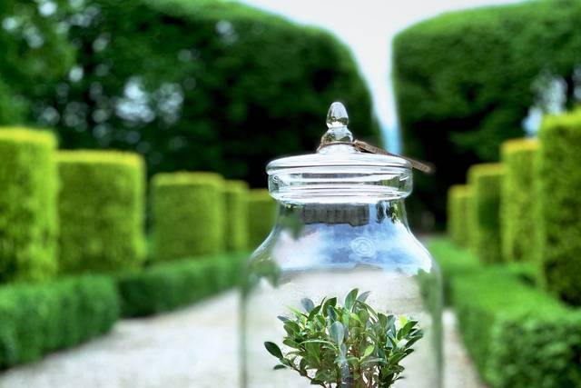 Terrari di varie dimensioni