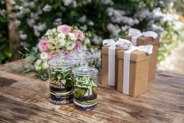 Terrari micro garden