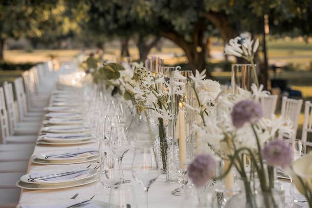 Navarria Catering