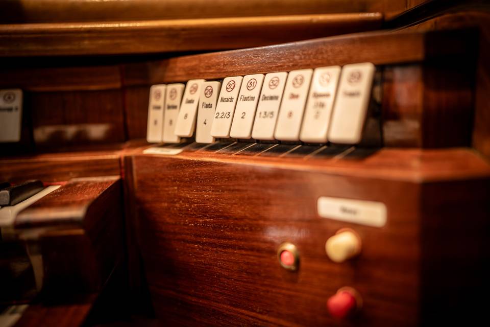 L'organo