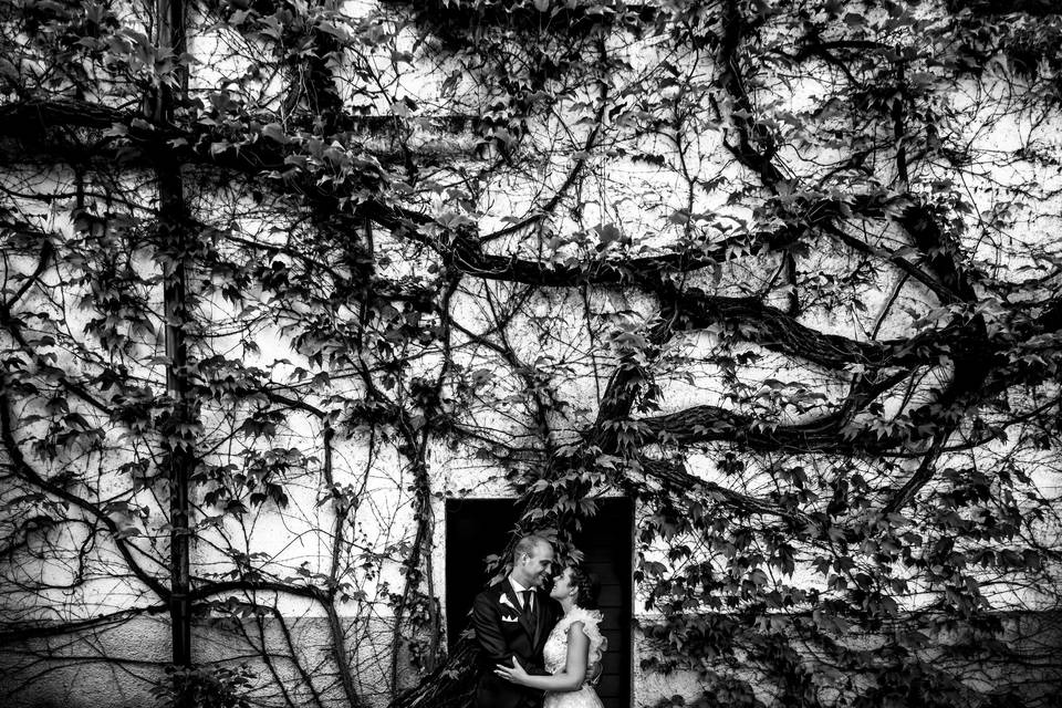 Photo Diem