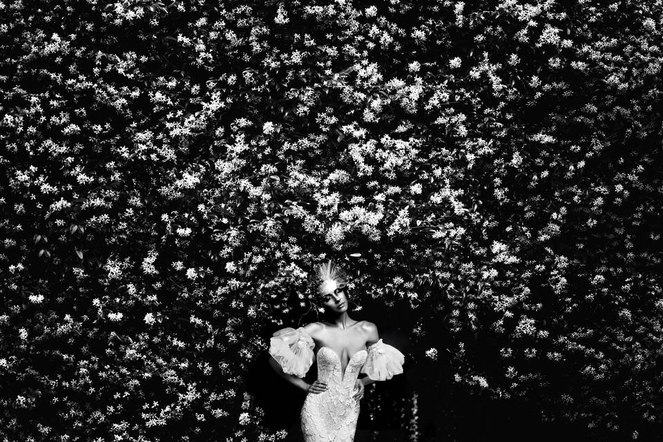 Photo Diem