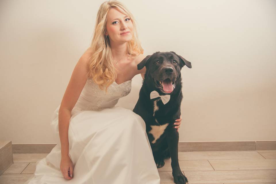 Wedding pet photographer