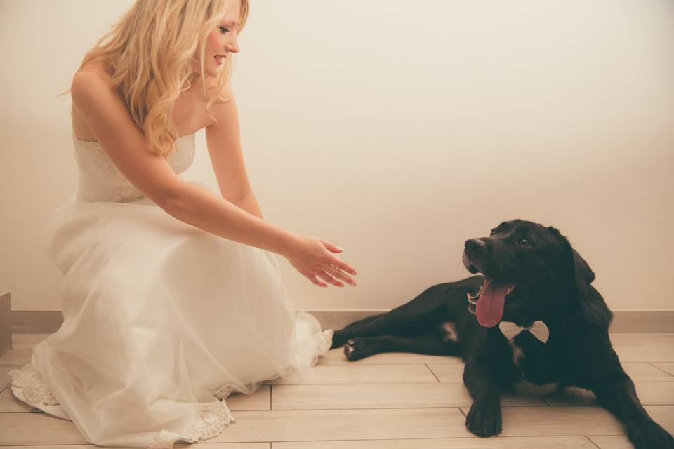 Matrimonio e cane