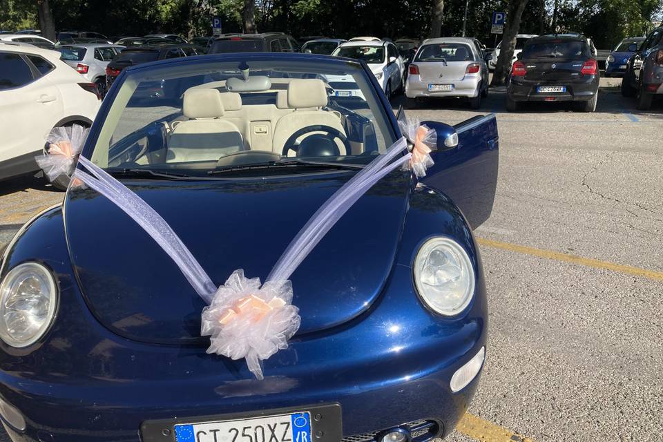 New Beetle di Giorgia