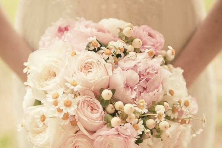 Sposa rose