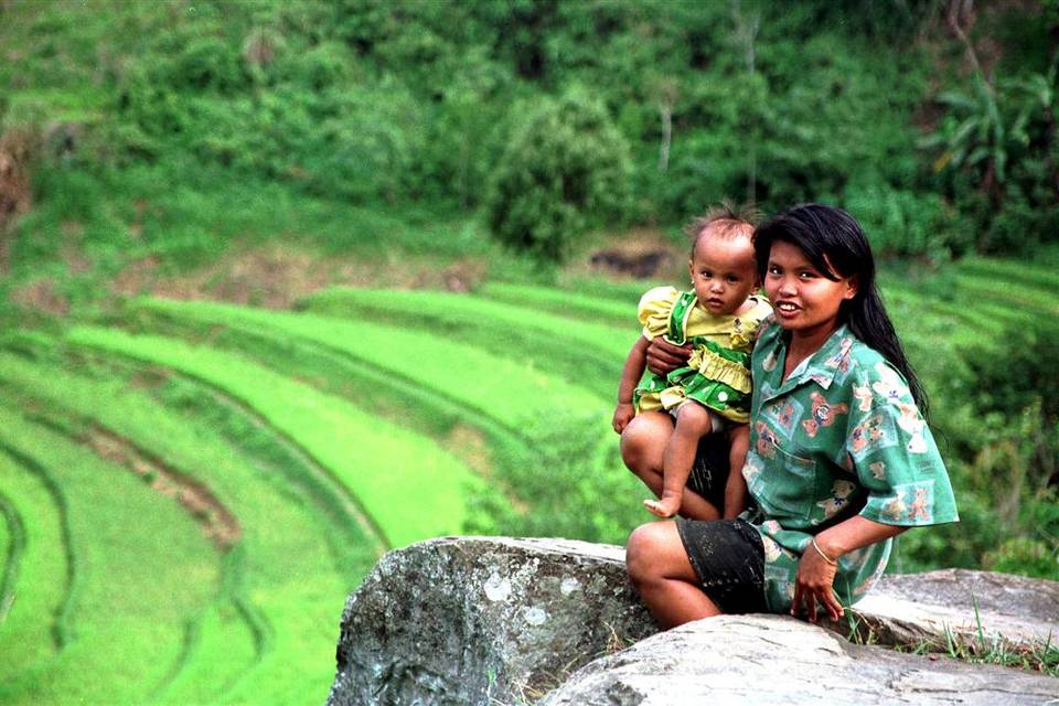 Bali terrazzamenti