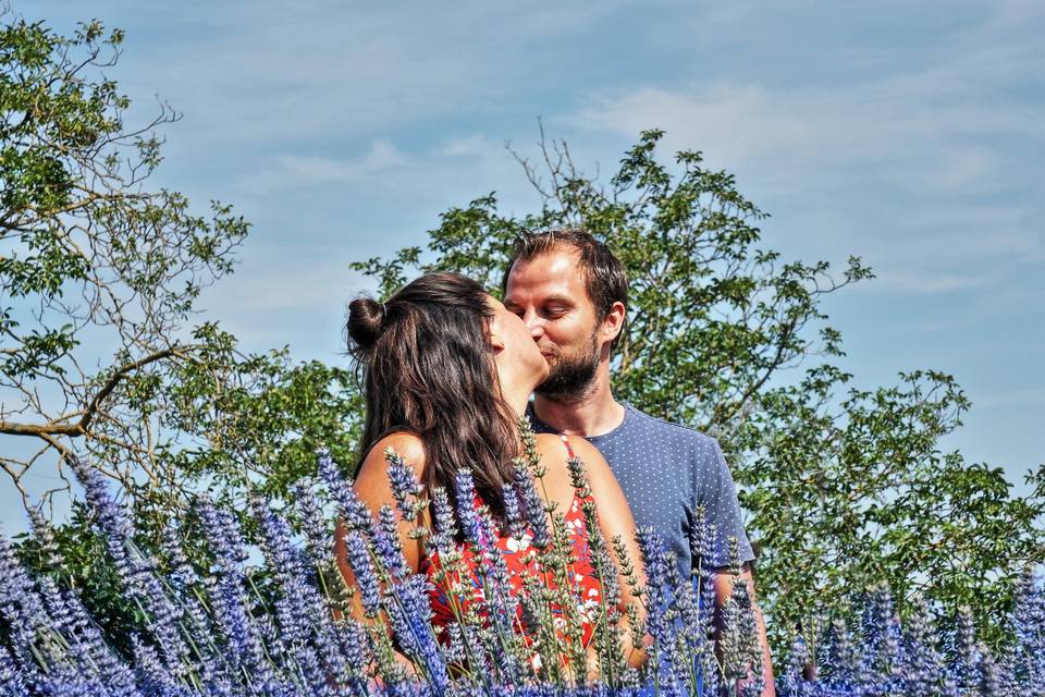 Passione al profumo di Lavanda