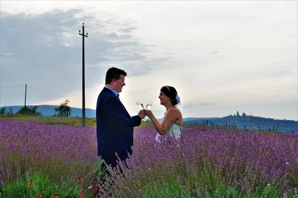 Campi di Lavanda alla sera