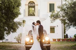 MF Wedding Stories
