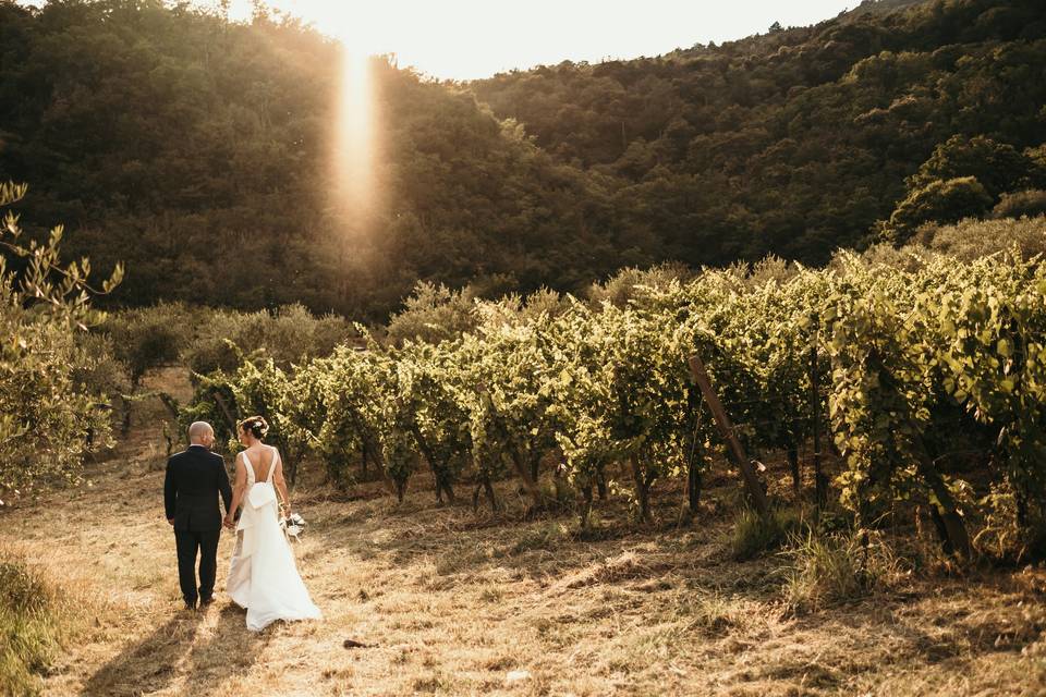 Passeggiata tra i vigneti